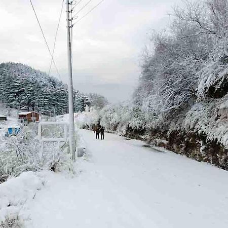 La Riqueza Dhanolti View # Near To Eco Park & Surkanda Devi Temple # Mountain View Rooms With Balcony # Big Parking # Customer Favourite Hotel Дханолти Экстерьер фото