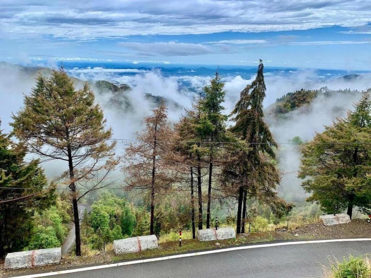 La Riqueza Dhanolti View # Near To Eco Park & Surkanda Devi Temple # Mountain View Rooms With Balcony # Big Parking # Customer Favourite Hotel Дханолти Экстерьер фото