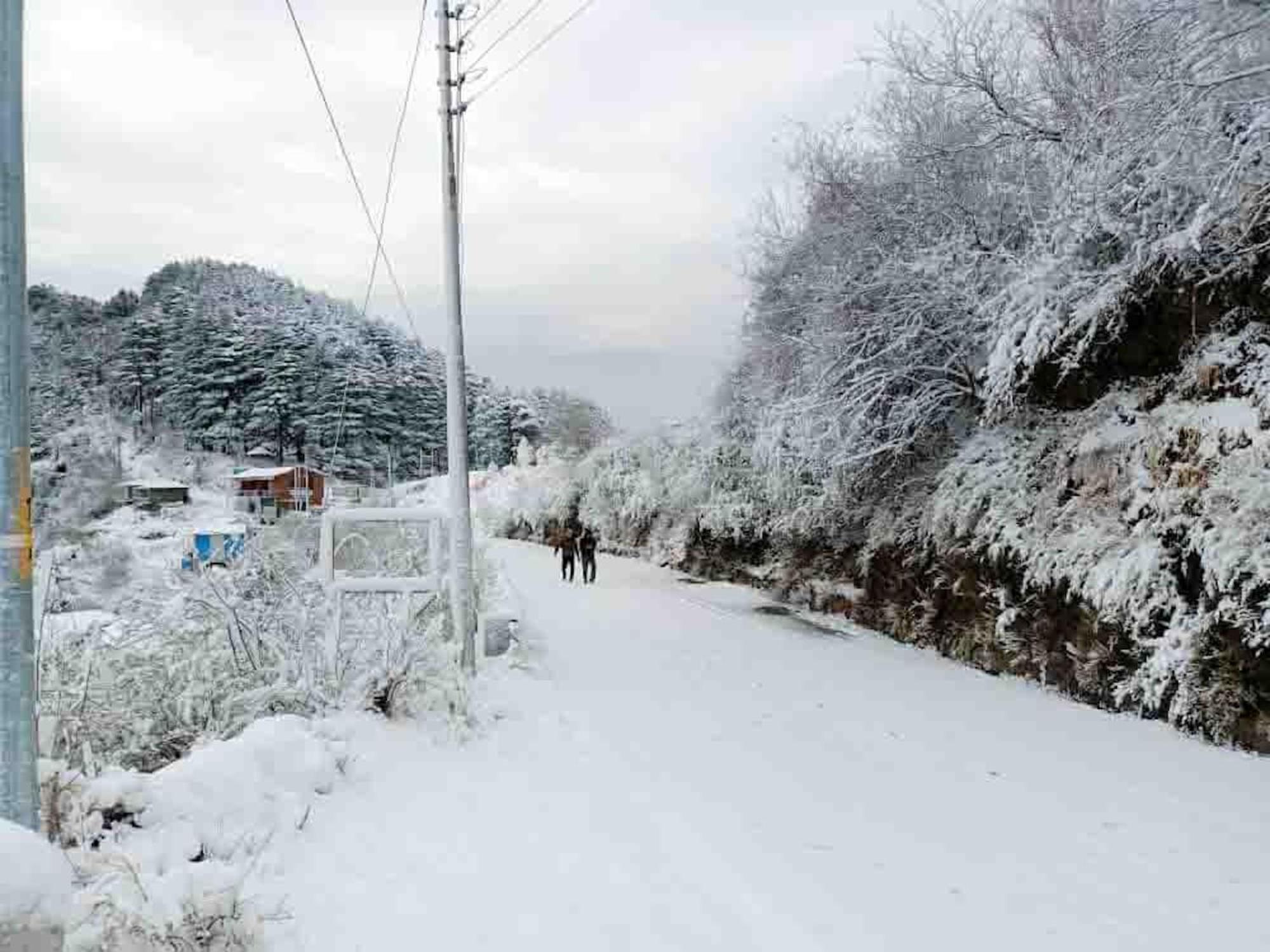 La Riqueza Dhanolti View # Near To Eco Park & Surkanda Devi Temple # Mountain View Rooms With Balcony # Big Parking # Customer Favourite Hotel Дханолти Экстерьер фото