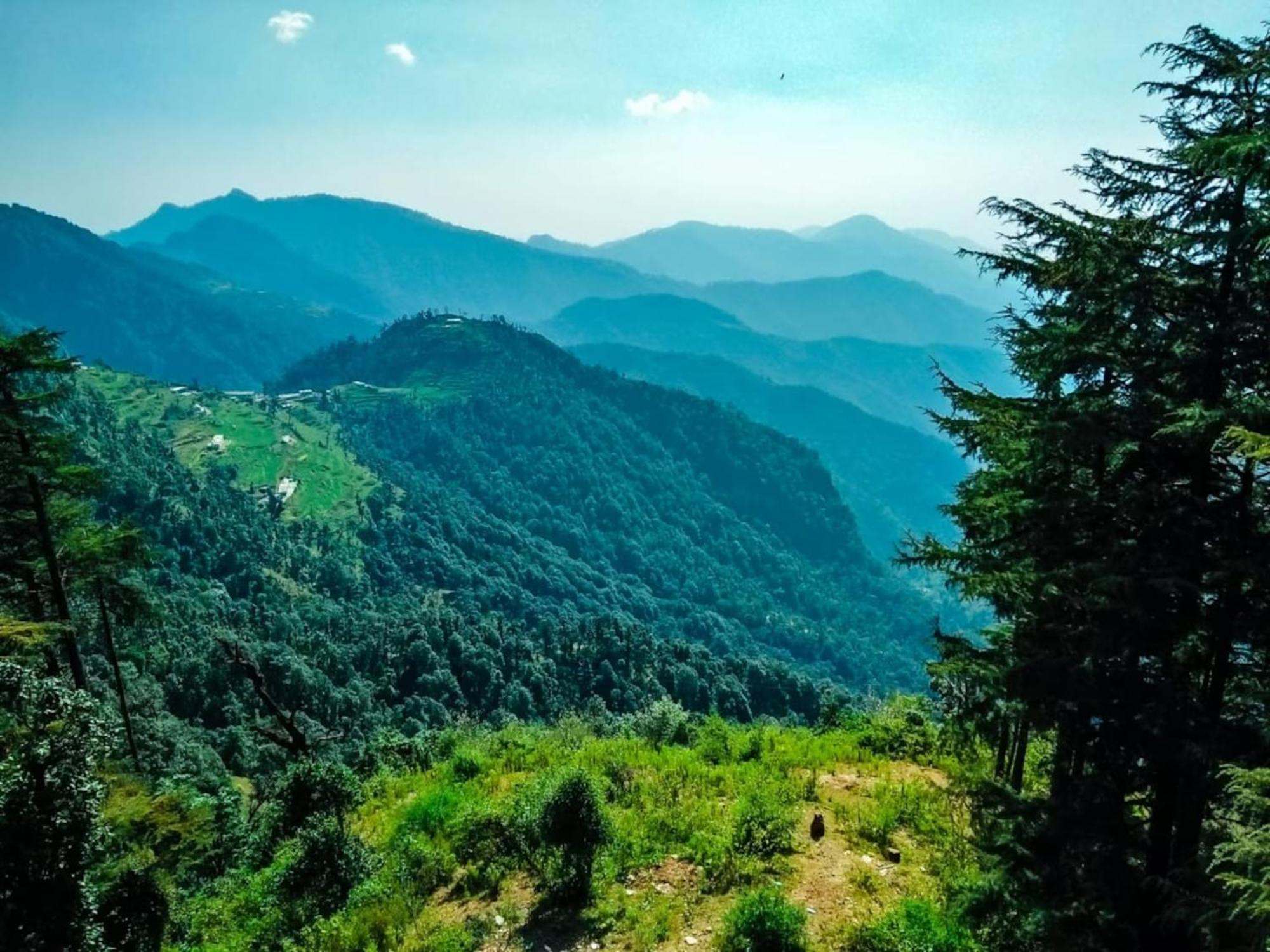 La Riqueza Dhanolti View # Near To Eco Park & Surkanda Devi Temple # Mountain View Rooms With Balcony # Big Parking # Customer Favourite Hotel Дханолти Экстерьер фото